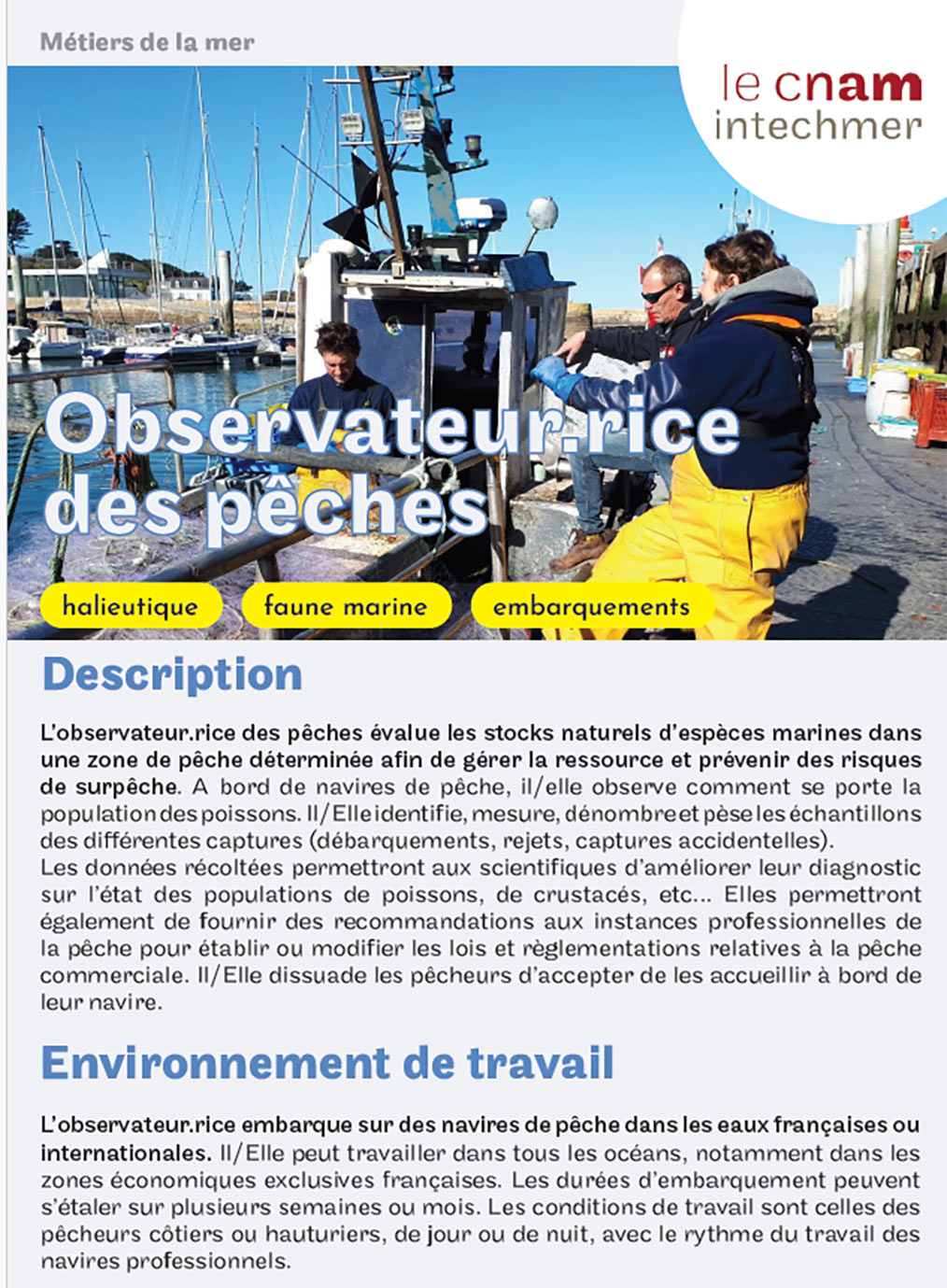 observateur des pêches