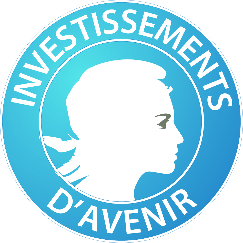 Investissement d'avenir 